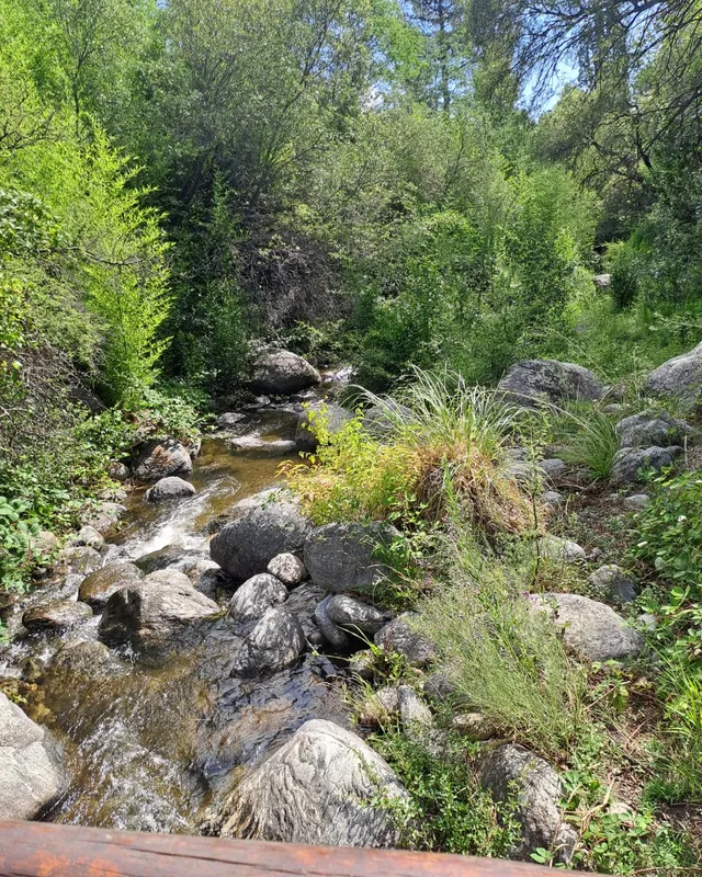 Arroyo en la sierra de Traslasierra